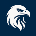 Eagle Vizzion Logo